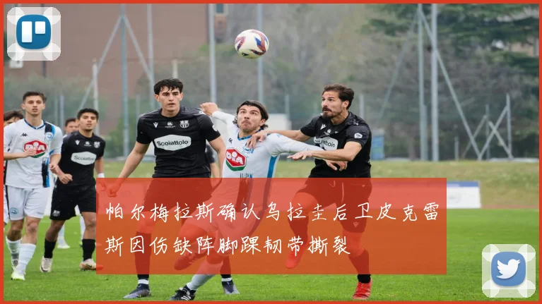 帕尔梅拉斯确认乌拉圭后卫皮克雷斯因伤缺阵脚踝韧带撕裂