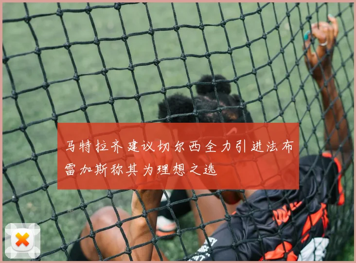 马特拉齐建议切尔西全力引进法布雷加斯称其为理想之选